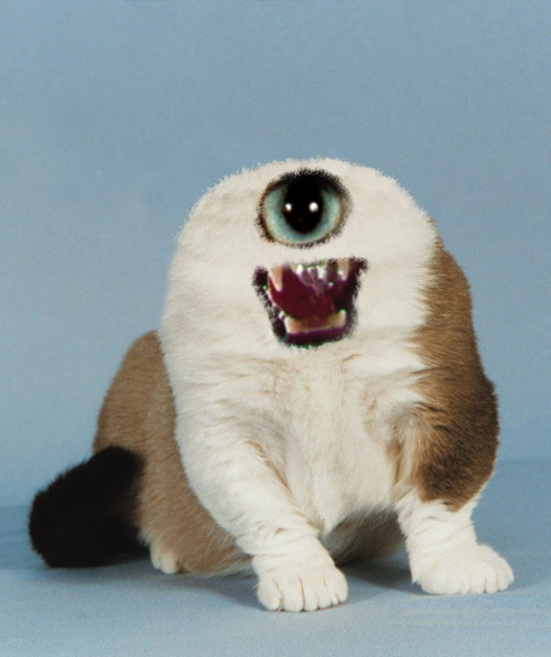 Photoshop Design by gunmetal for DesignCrowd (Community Contests) | Design #9148644