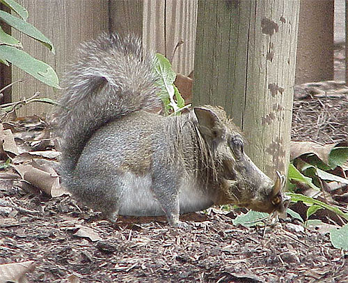 Diseño de Photoshop por MrArif para DesignCrowd (Community Contests) | Diseño #9148708