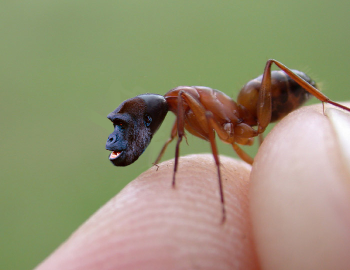 Photoshop Design by fiel for DesignCrowd (Community Contests) | Design #9148700