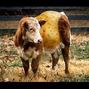 Photoshop Design by ARagMan