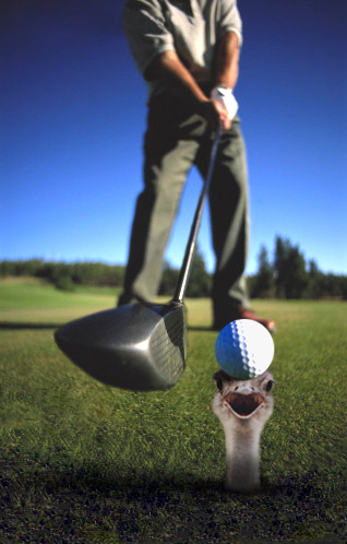 Diseño de Photoshop por Meatlump para DesignCrowd (Community Contests) | Diseño #9152093