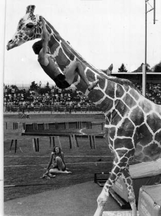 Diseño de Photoshop por theJustin para DesignCrowd (Community Contests) | Diseño #9152159