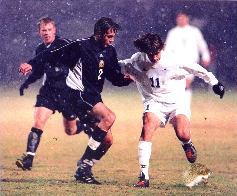 Design Photoshop par FatHead pour DesignCrowd (Community Contests) | Design #9152182