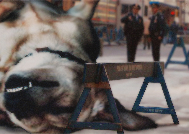 Photoshop Design by Simpletonic for DesignCrowd (Community Contests) | Design #9151228