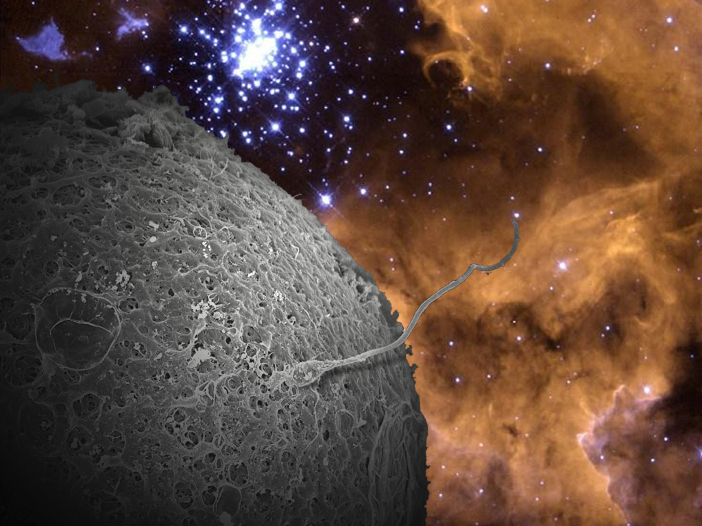 Photoshop Design by visconti for DesignCrowd (Community Contests) | Design #9151273