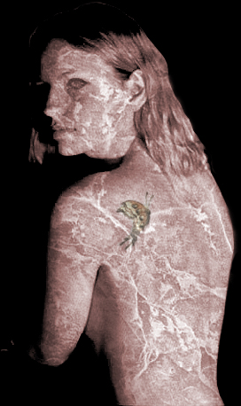 Photoshop-Design von Philbert für DesignCrowd (Community Contests) | Design #9152216