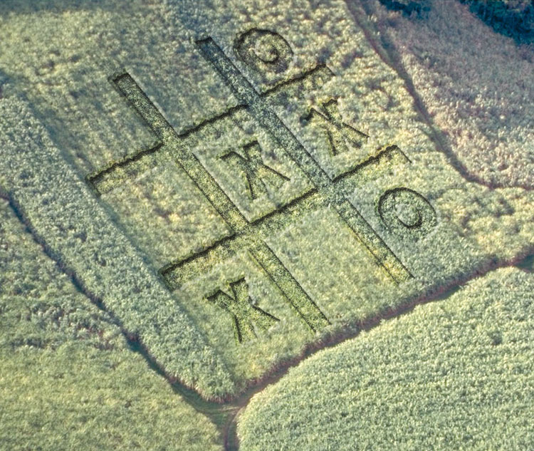 Design Photoshop par Hawk pour DesignCrowd (Community Contests) | Design #9148785