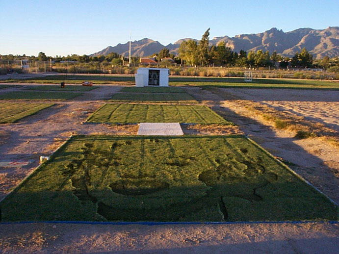 Photoshop Design by paplaukes for DesignCrowd (Community Contests) | Design #9148789