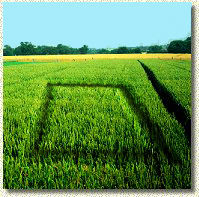 Photoshop Design by Moose for DesignCrowd (Community Contests) | Design #9148790