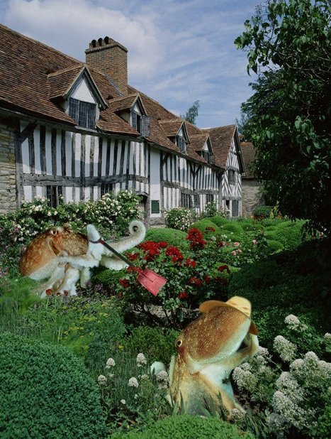 Photoshop Design by Bigpeeler for DesignCrowd (Community Contests) | Design #9153481