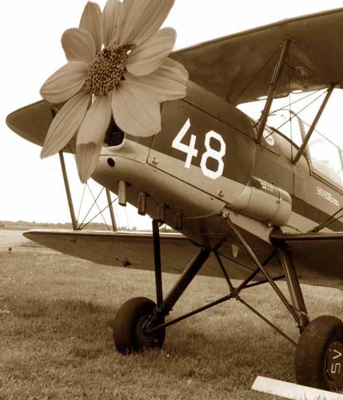 Photoshop Design by gunmetal for DesignCrowd (Community Contests) | Design #9153260