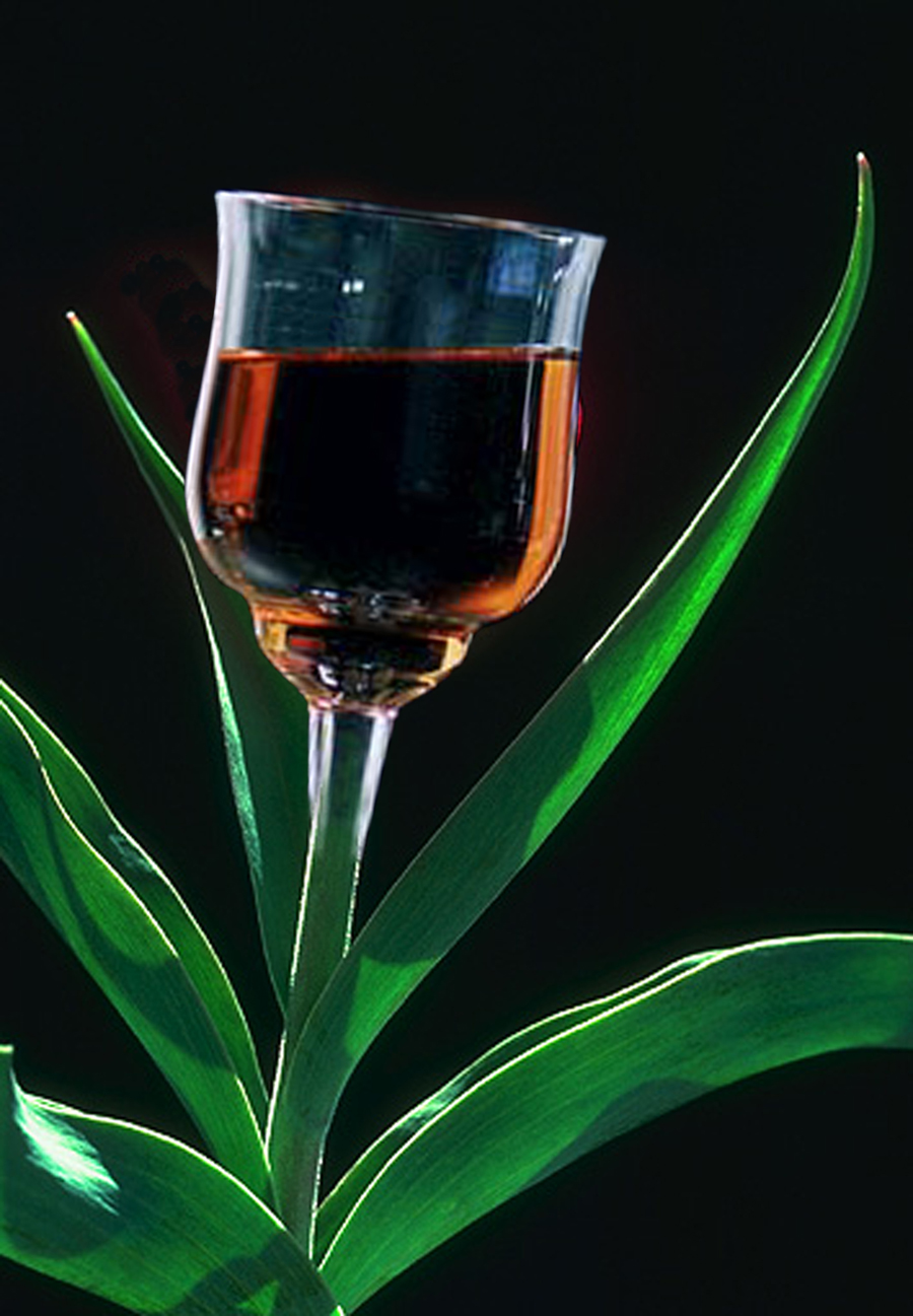 Diseño de Photoshop por Ghost para DesignCrowd (Community Contests) | Diseño #9153292