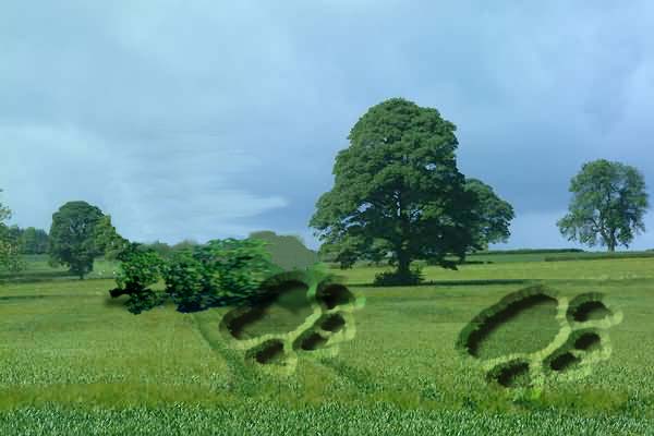 Photoshop Design by di for DesignCrowd (Community Contests) | Design #9148805