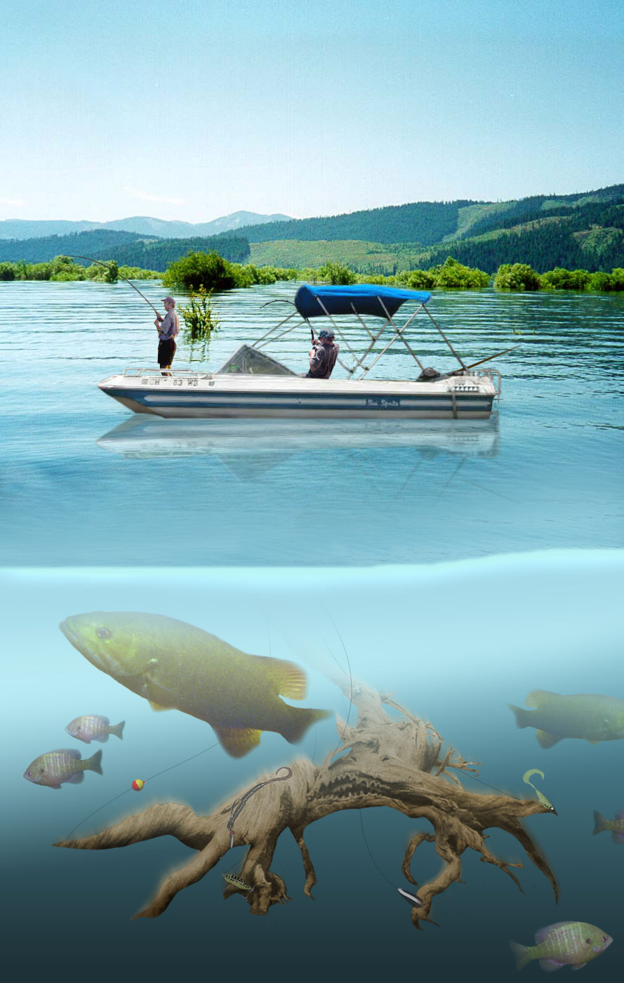 Diseño de Photoshop por jfiscus para DesignCrowd (Community Contests) | Diseño #9151488