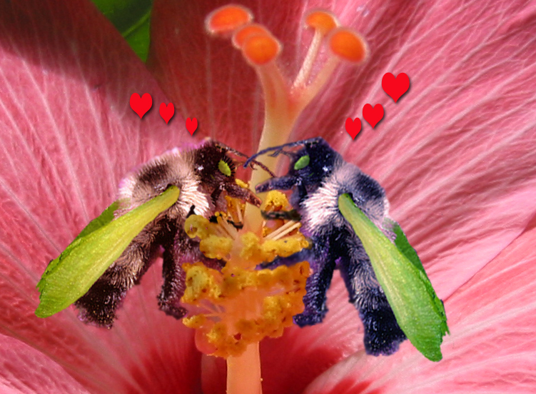 Photoshop-Design von squaredd für DesignCrowd (Community Contests) | Design #9151747