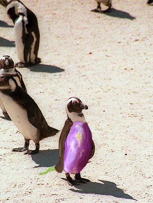 Photoshop Design by di for DesignCrowd (Community Contests) | Design #9151754