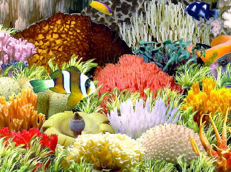 Photoshop-Design von jo_xxx für DesignCrowd (Community Contests) | Design #9142091