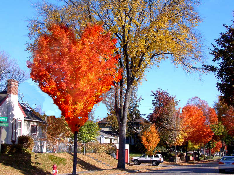 Photoshop Design by squaredd for DesignCrowd (Community Contests) | Design #9142094