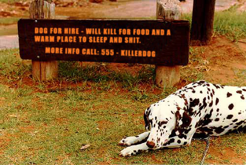 Design Photoshop par ThaDux pour DesignCrowd (Community Contests) | Design #9142923