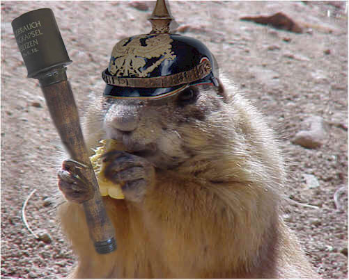 Design Photoshop par Marious pour DesignCrowd (Community Contests) | Design #9128082