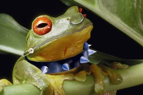 Photoshop-Design von Spoonfan für DesignCrowd (Community Contests) | Design #9128085