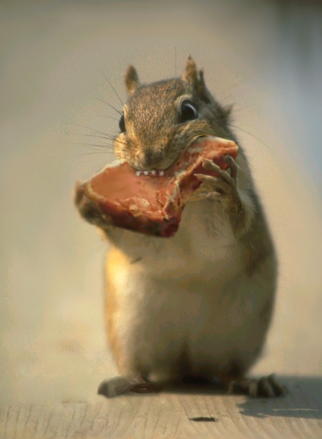 Photoshop Design by IronKite for DesignCrowd (Community Contests) | Design #9128094