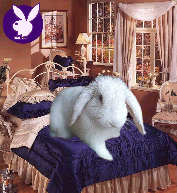 Design Photoshop par Cataphract pour DesignCrowd (Community Contests) | Design #9128110