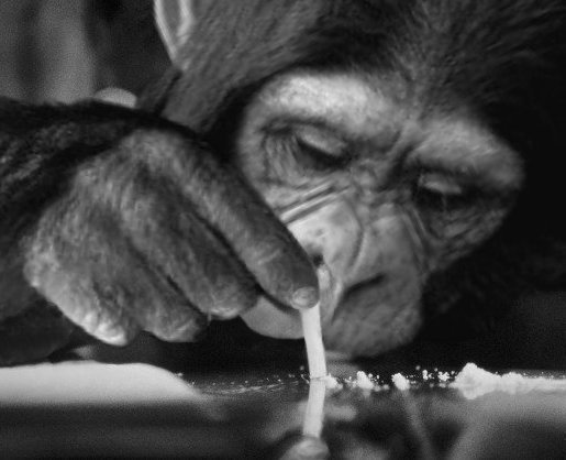 Photoshop-Design von Bigpeeler für DesignCrowd (Community Contests) | Design #9128131