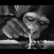 Photoshop Design by Bigpeeler