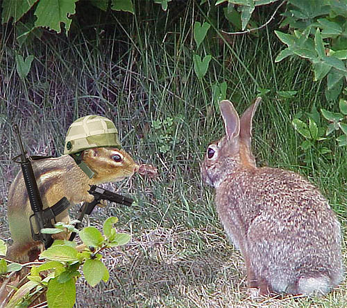 Diseño de Photoshop por MrArif para DesignCrowd (Community Contests) | Diseño #9128162