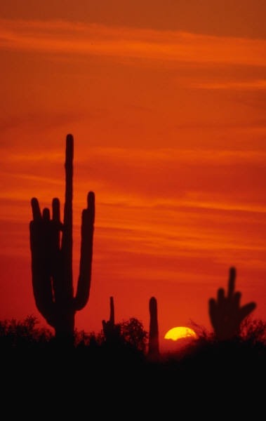 Photoshop-Design von Spoonfan für DesignCrowd (Community Contests) | Design #9128034