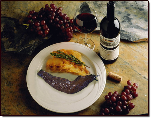 Photoshop Design by alzeke for DesignCrowd (Community Contests) | Design #9151074