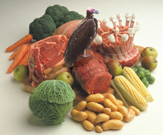 Photoshop Design by sts for DesignCrowd (Community Contests) | Design #9151089