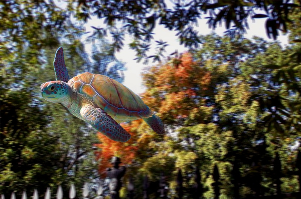 Photoshop-Design von galackz für DesignCrowd (Community Contests) | Design #9141431