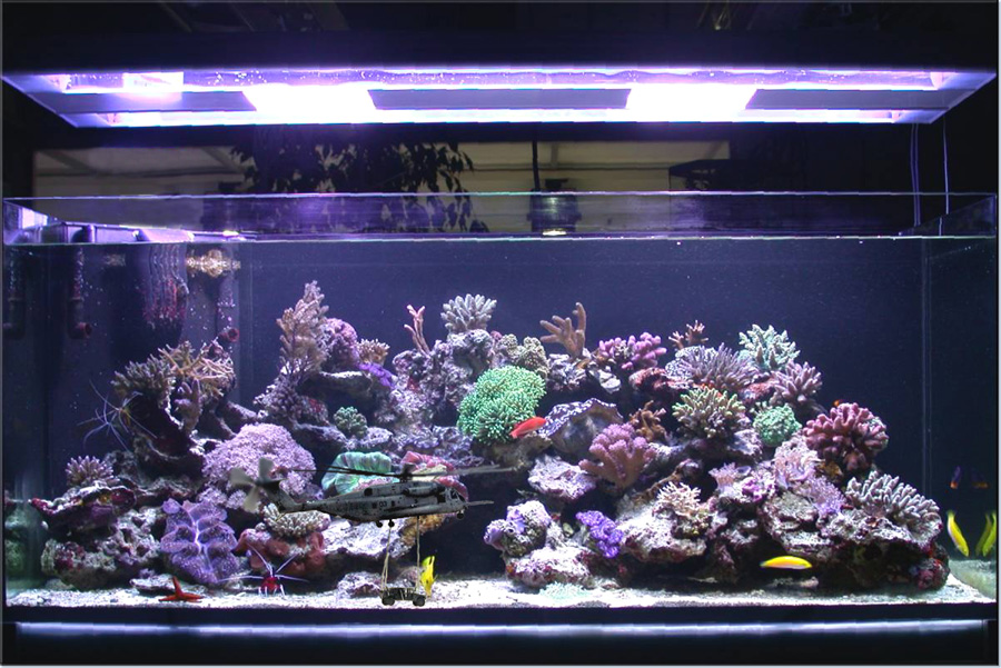 Photoshop Design by Tincupid for DesignCrowd (Community Contests) | Design #9141378