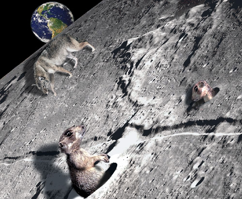 Photoshop Design by princeok for DesignCrowd (Community Contests) | Design #9141437