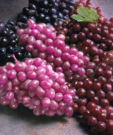 Photoshop-Design von Binder für DesignCrowd (Community Contests) | Design #9127492