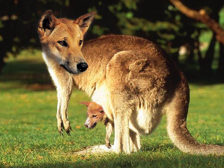 Photoshop Design by Spoonfan for DesignCrowd (Community Contests) | Design #9151080