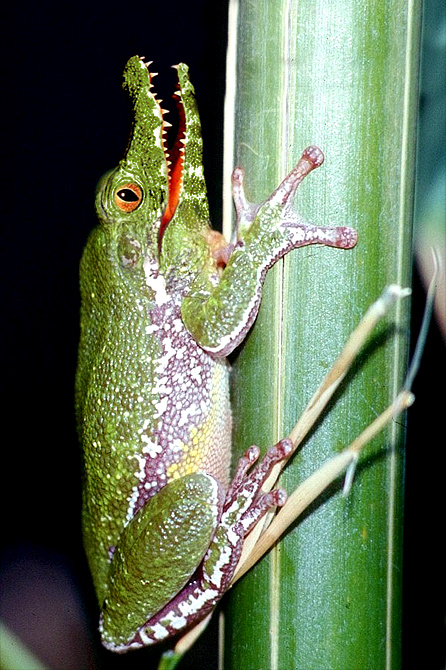 Design Photoshop par Philbert pour DesignCrowd (Community Contests) | Design #9151073