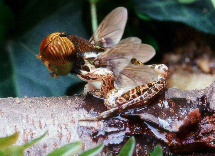 Diseño de Photoshop por Jolt para DesignCrowd (Community Contests) | Diseño #9151117