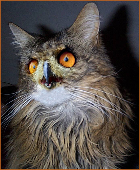 Photoshop Design by paddyjoe for DesignCrowd (Community Contests) | Design #9151145