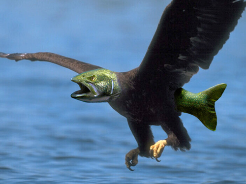 Photoshop Design by ARagMan for DesignCrowd (Community Contests) | Design #9151129