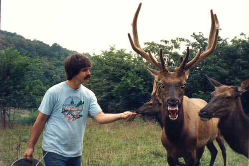 Photoshop Design by MeatGrinder for DesignCrowd (Community Contests) | Design #9151240