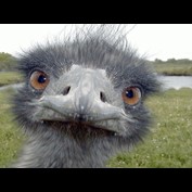 Photoshop Design by fiel