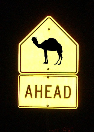 Design Photoshop par Marious pour DesignCrowd (Community Contests) | Design #9126423