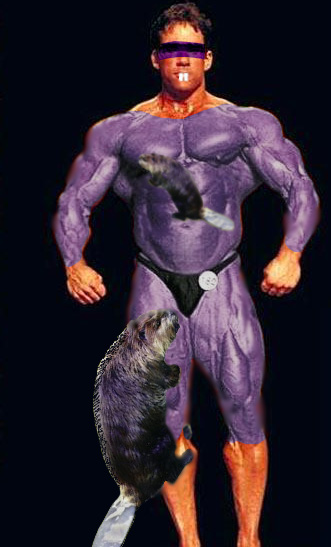 Design Photoshop par Marious pour DesignCrowd (Community Contests) | Design #9141685