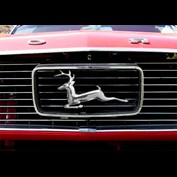 Photoshop Design by Puffnasty