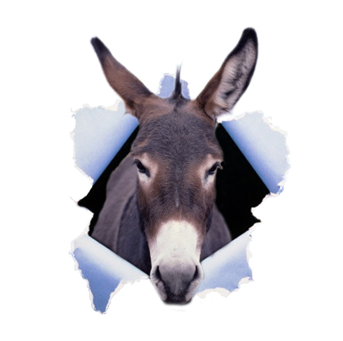 Photoshop Design by alzeke for DesignCrowd (Community Contests) | Design #9147413