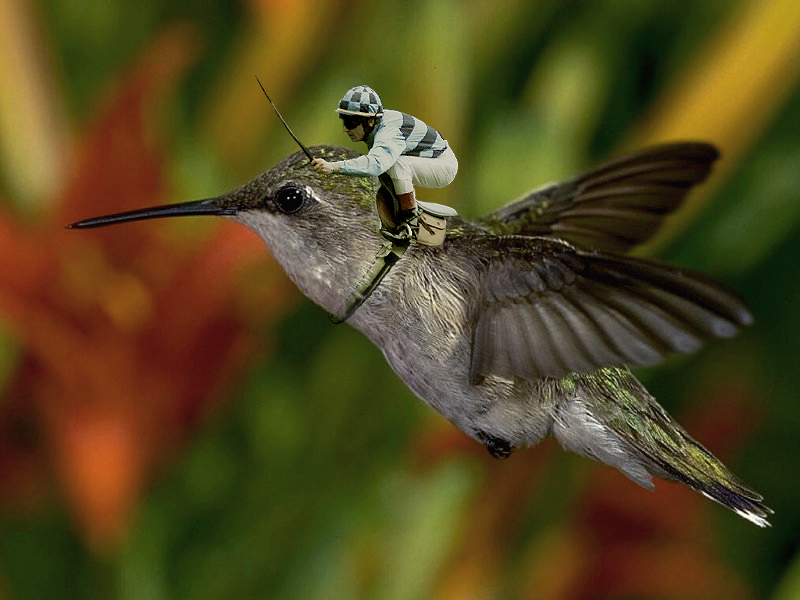 Photoshop Design by Fascha for DesignCrowd (Community Contests) | Design #9147855