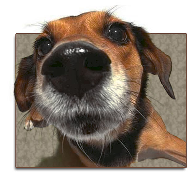 Photoshop Design by Jolt for DesignCrowd (Community Contests) | Design #9147505